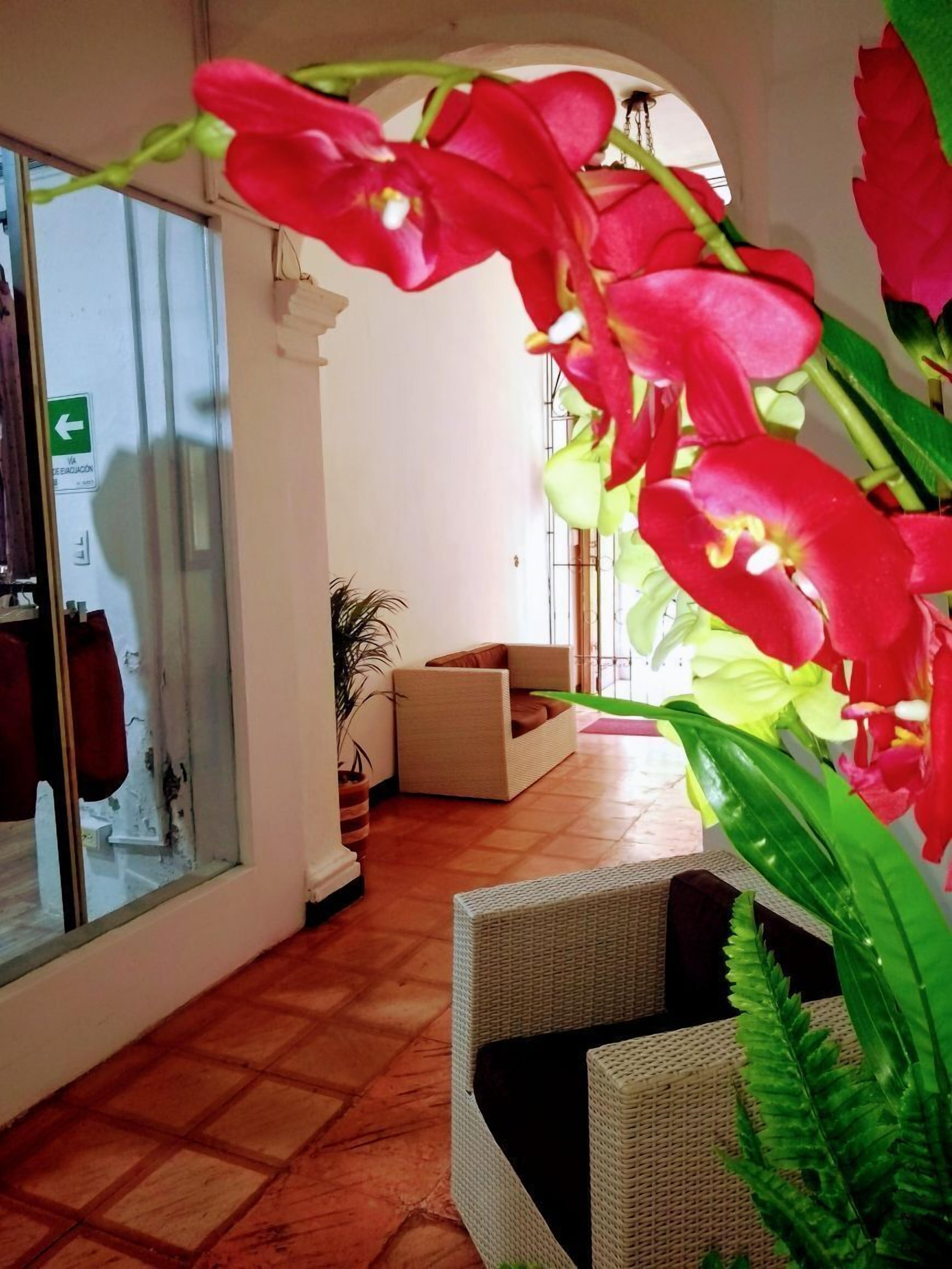 Santa Alejandria Cartagena