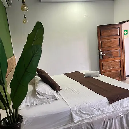 Santa Alejandría Hotel 3*