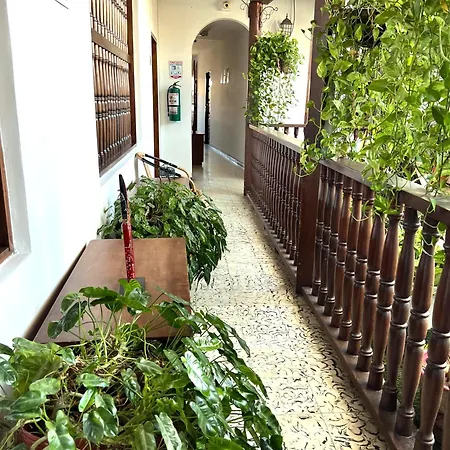 Santa Alejandría